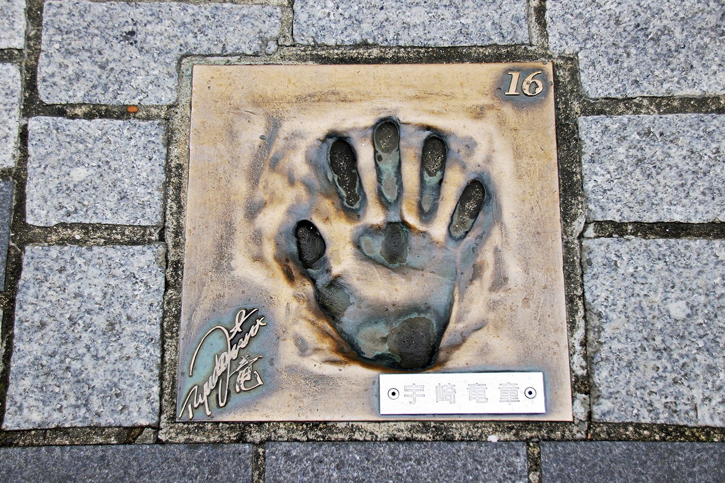 🛍️ 도부이타 거리 (도부이타도리) 이미지 8